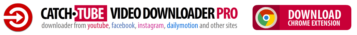 Catch.Tube Video Downloader PRO. Catch video form youtube, dailymotion, instagram, facebook and other sites